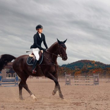 Jak balanser SARACEN Competition Fit wpływa na kondycję i wydolność koni sportowych